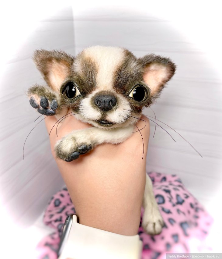 Macho 🐾🐶 — Реалистичные игрушки и звери (Натюр): собаки (фото 8)