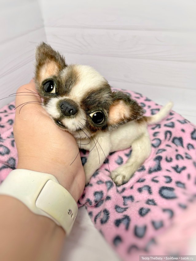 Macho 🐾🐶 — Реалистичные игрушки и звери (Натюр): собаки