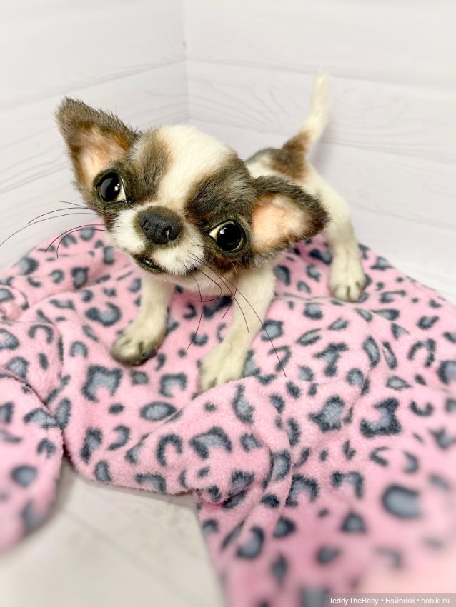 Macho 🐾🐶 — Реалистичные игрушки и звери (Натюр): собаки