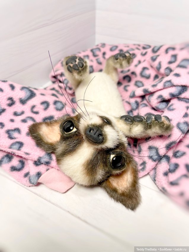 Macho 🐾🐶 — Реалистичные игрушки и звери (Натюр): собаки