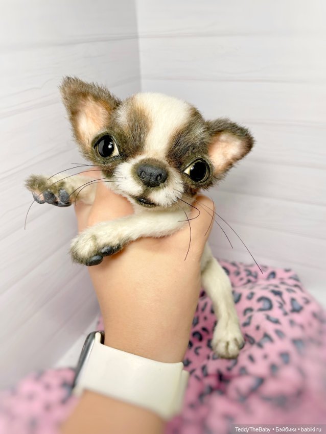 Macho 🐾🐶 — Реалистичные игрушки и звери (Натюр): собаки (фото 6)