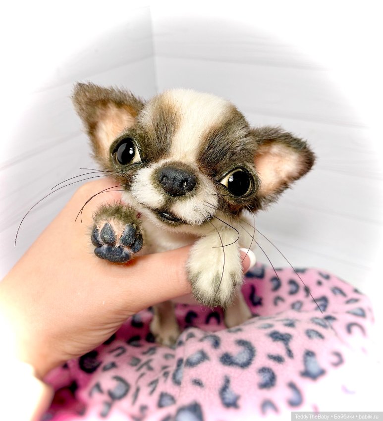 Macho 🐾🐶 — Реалистичные игрушки и звери (Натюр): собаки