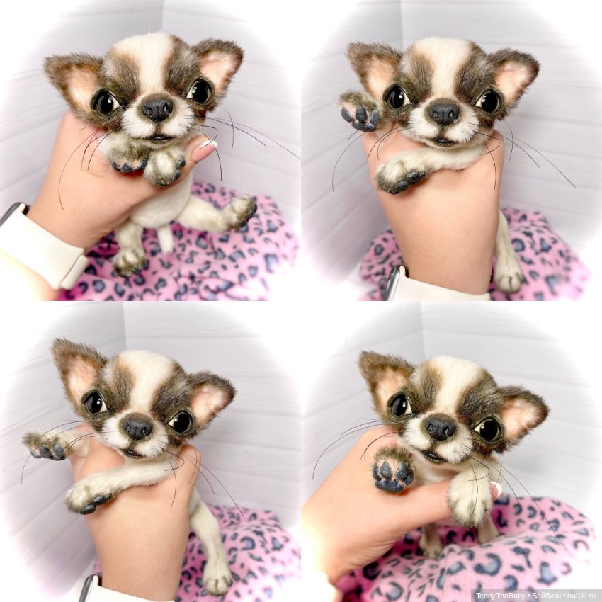 Macho 🐾🐶 — Реалистичные игрушки и звери (Натюр): собаки