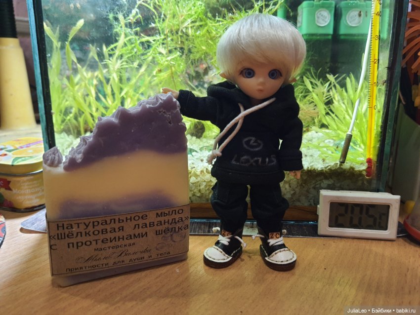 Мыло бывает разное — Куклы и тела Obitsu (Обитсу): 1/6 (фото 3)