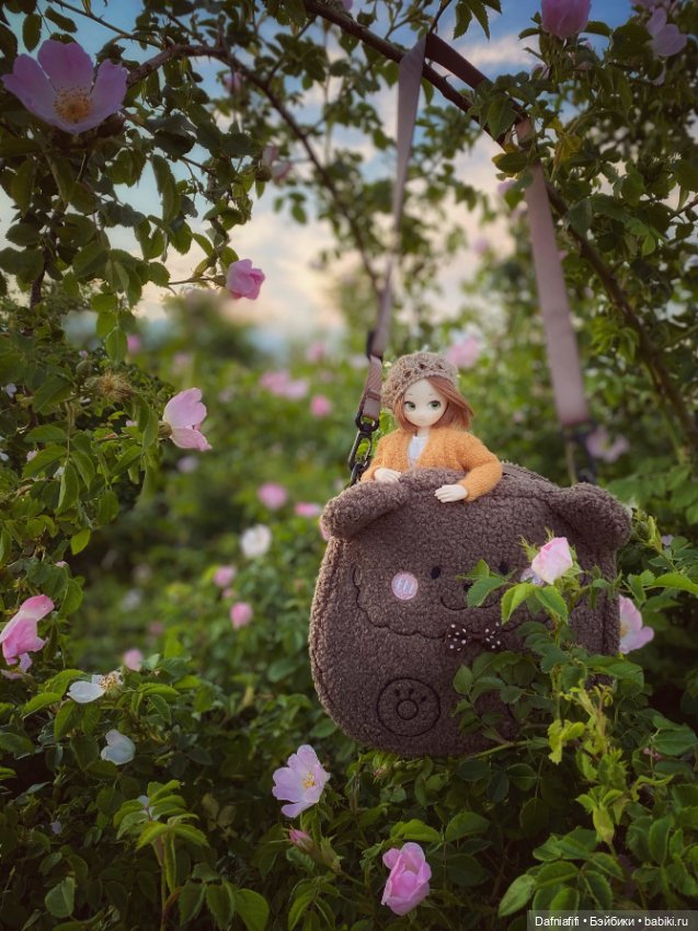 Козетта — Куклы и тела Obitsu (Обитсу): 1/6