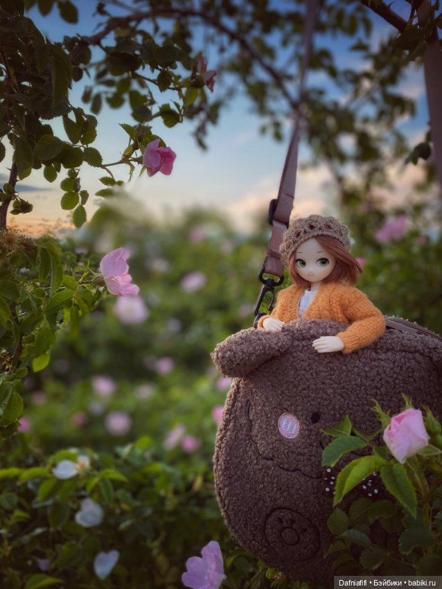 Козетта — Куклы и тела Obitsu (Обитсу): 1/6 (фото 2)