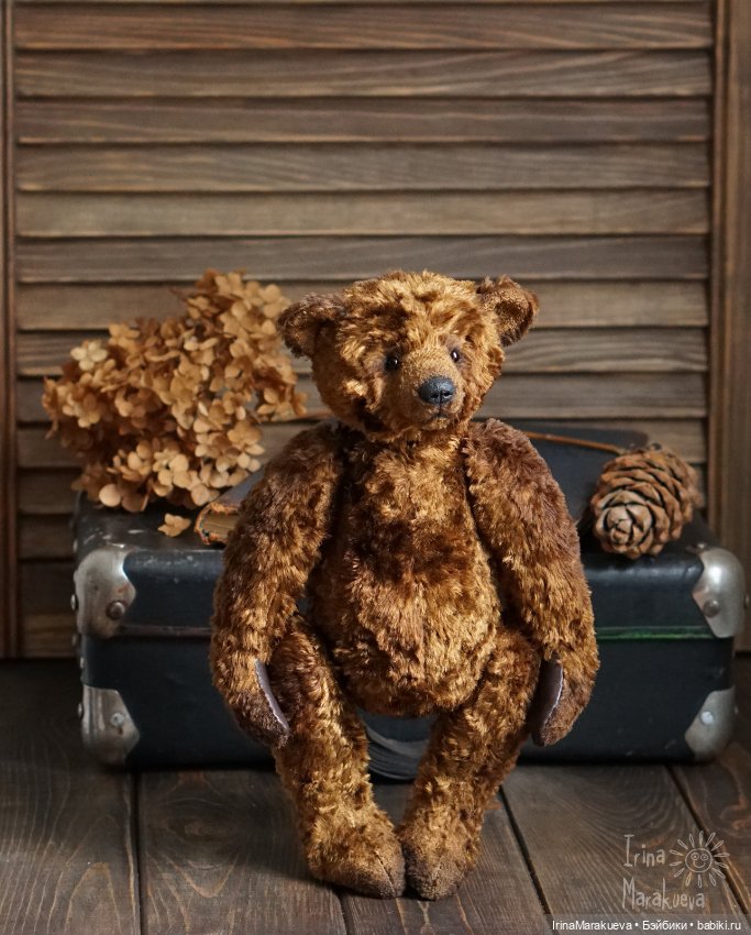 Тедди. Одна голова хорошо