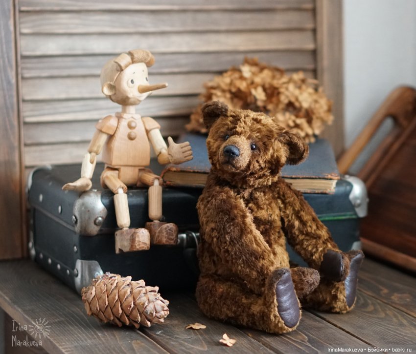 Тедди. Одна голова хорошо