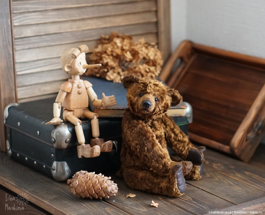 Тедди. Одна голова хорошо