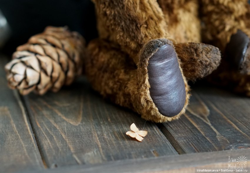 Тедди. Одна голова хорошо