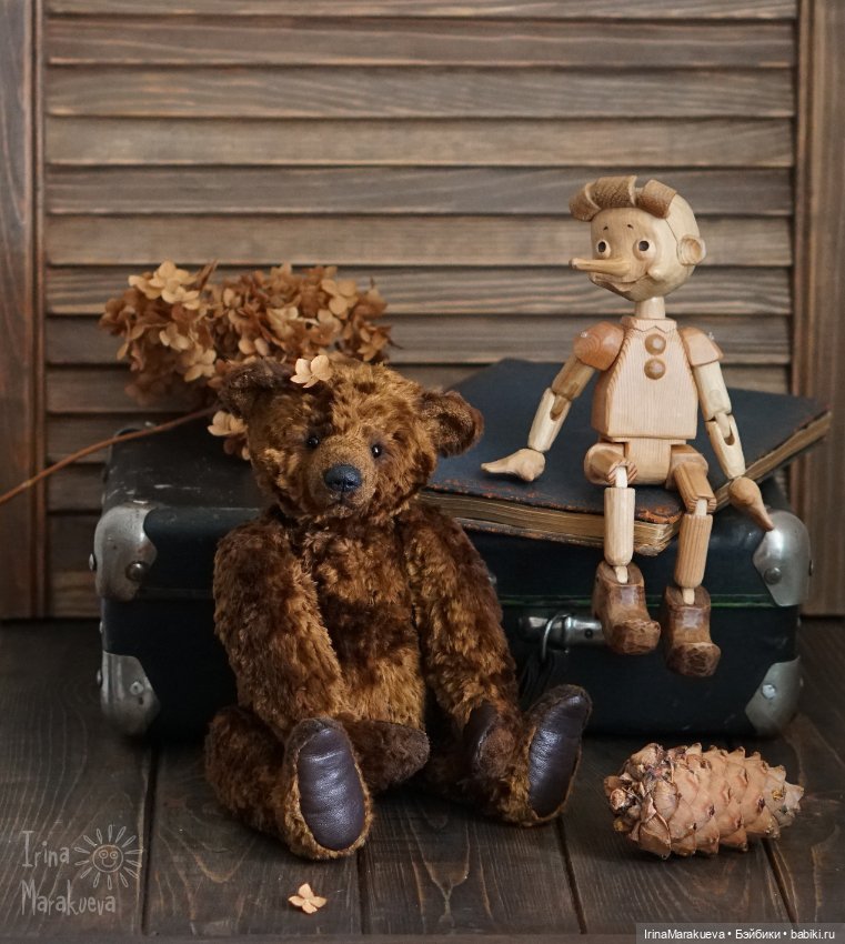 Тедди. Одна голова хорошо