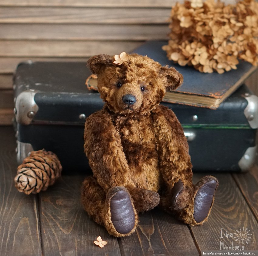 Тедди. Одна голова хорошо (фото 7)