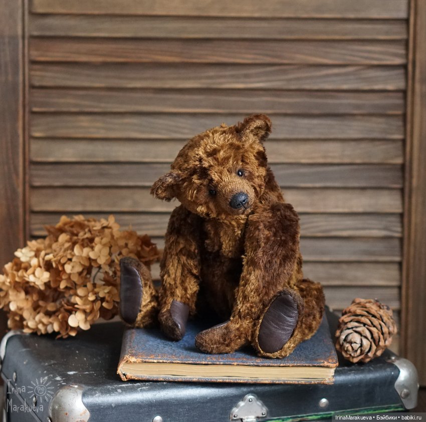 Тедди. Одна голова хорошо (фото 2)