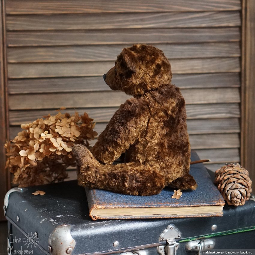 Тедди. Одна голова хорошо