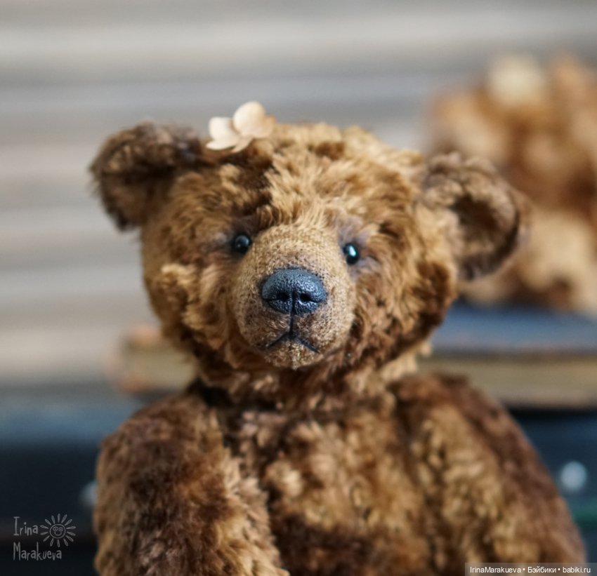 Тедди. Одна голова хорошо (фото 6)