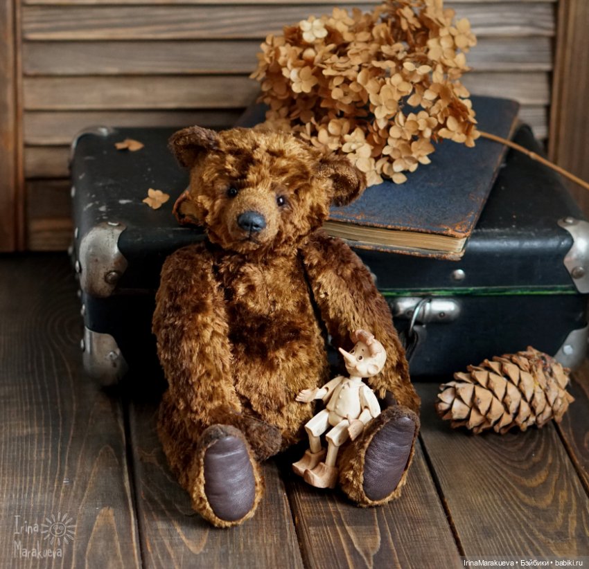 Тедди. Одна голова хорошо