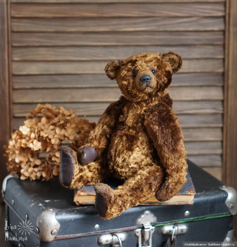 Тедди. Одна голова хорошо