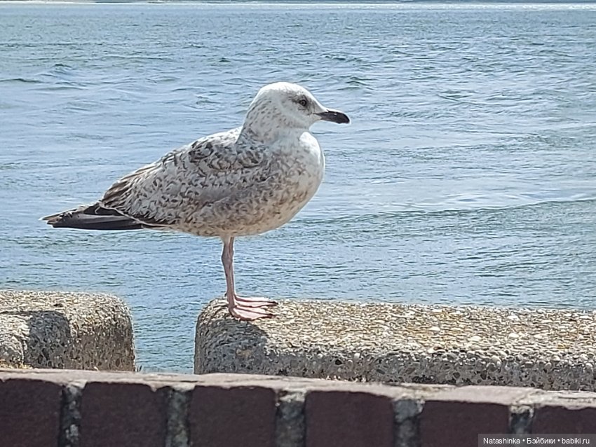 Fashion Dolls 373 — Туризм и путешествия: фотоотчеты из поездок