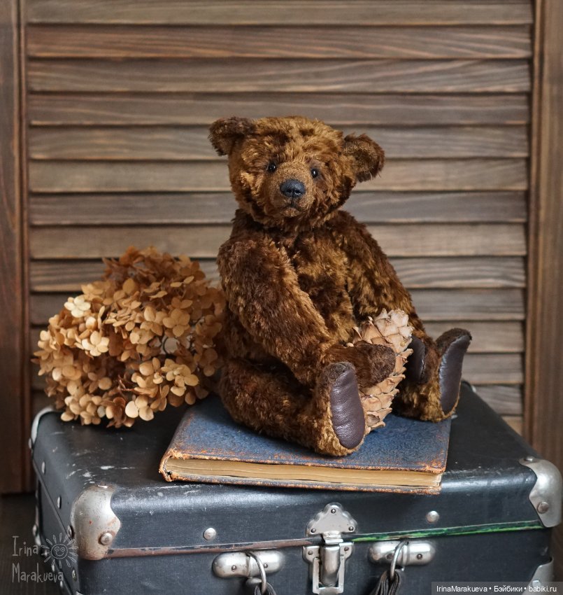 Тедди. Одна голова хорошо (фото 10)