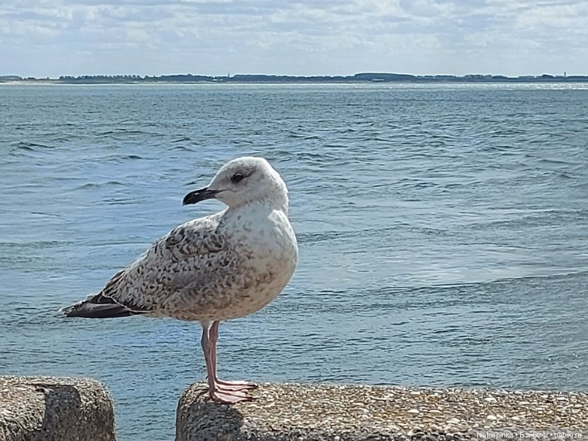 Fashion Dolls 373 — Туризм и путешествия: фотоотчеты из поездок