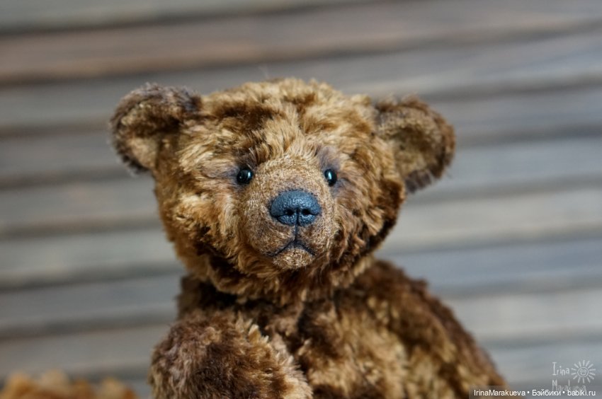 Тедди. Одна голова хорошо (фото 4)