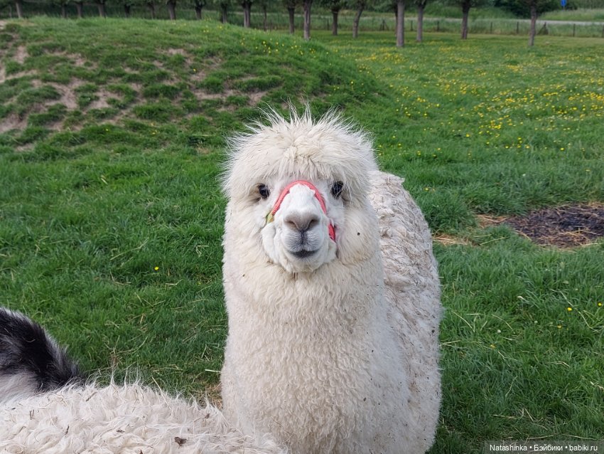 Fashion Dolls 373 — Туризм и путешествия: фотоотчеты из поездок