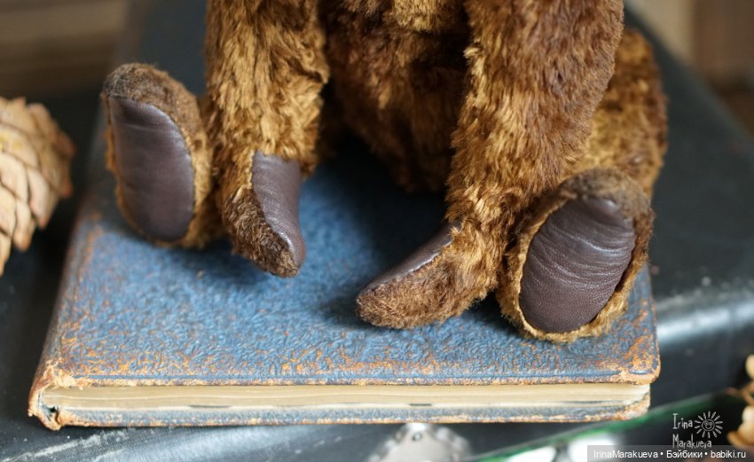 Тедди. Одна голова хорошо