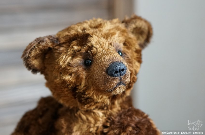 Тедди. Одна голова хорошо