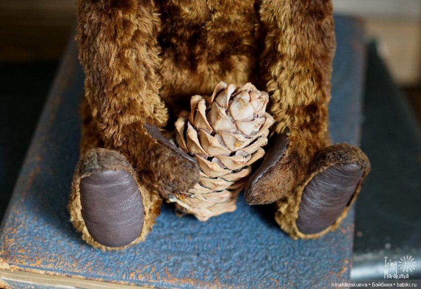 Тедди. Одна голова хорошо