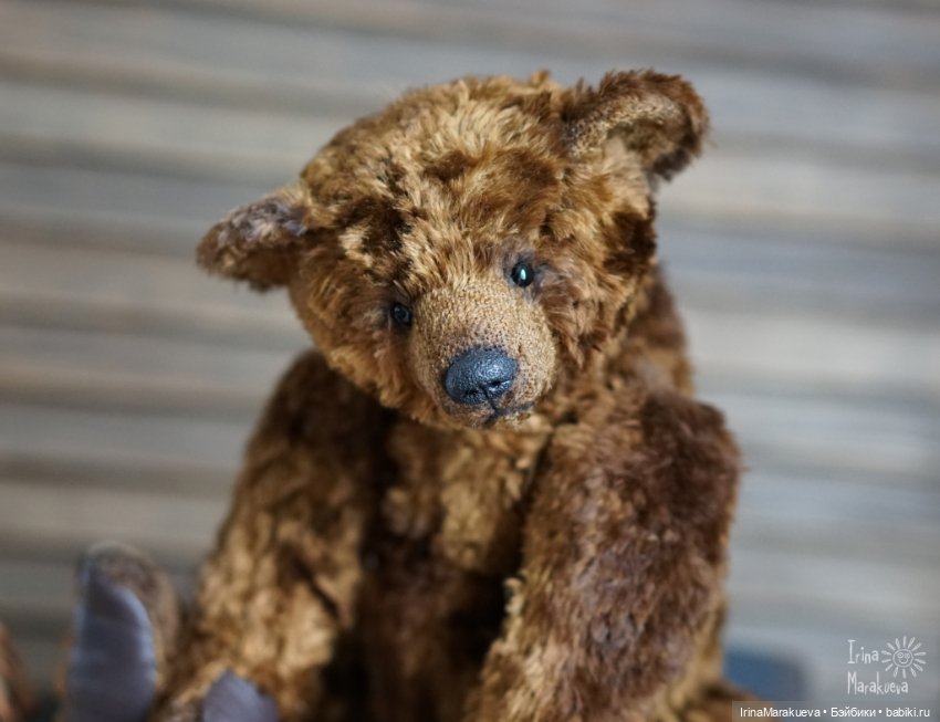 Тедди. Одна голова хорошо (фото 9)