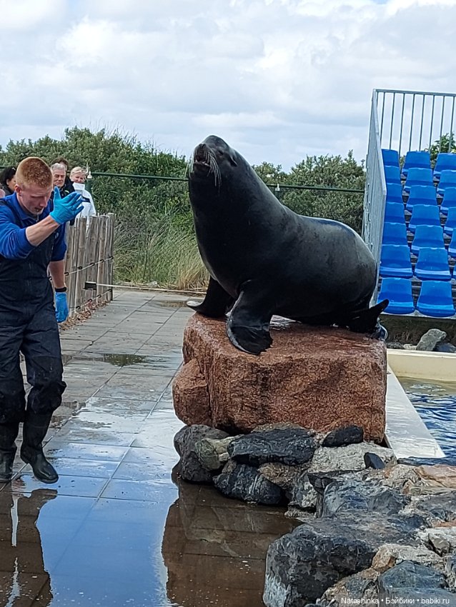 Fashion Dolls 374 — Туризм и путешествия: фотоотчеты из поездок