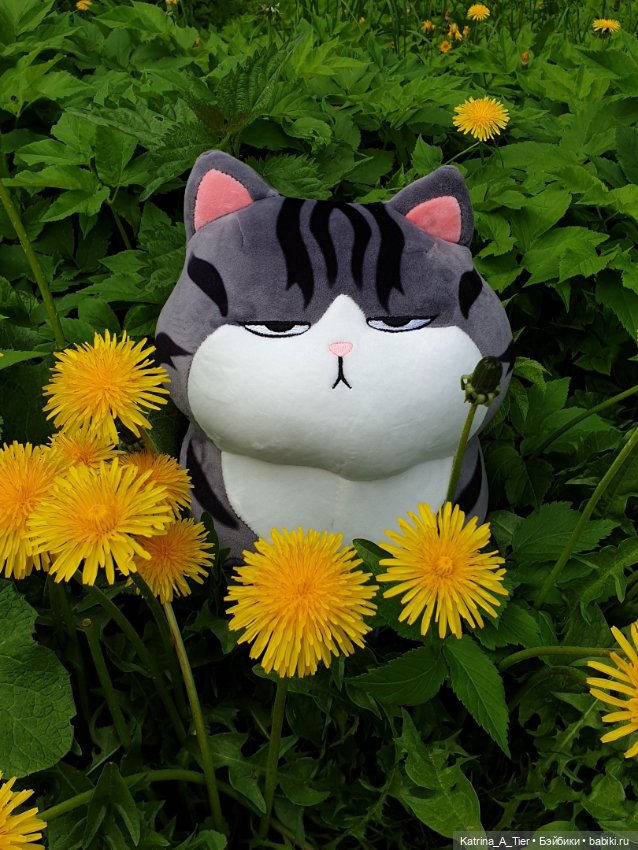 Не просто кот 🐱 — Интересные игрушки и фигурки (разное): редкие (фото 5)