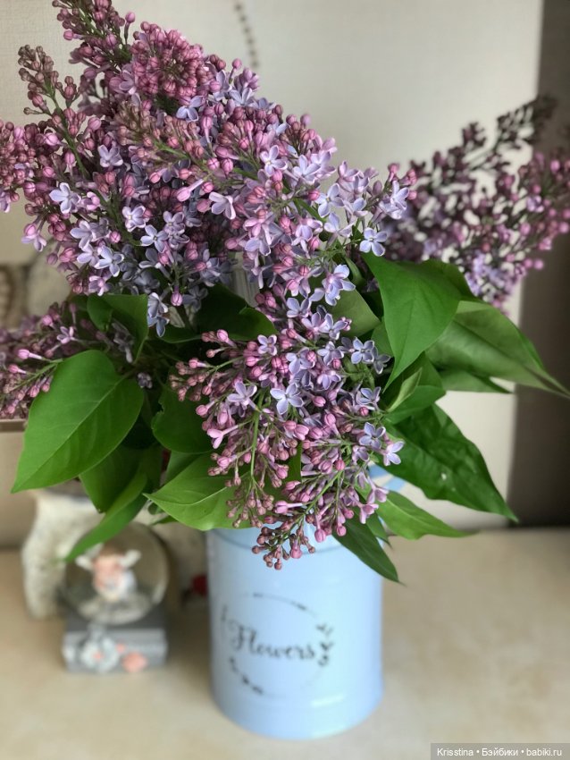 Девочка-весна !🌸 — ООАК Paola Reina (Паола Рейна) и испанских кукол: перерисовка (фото 9)