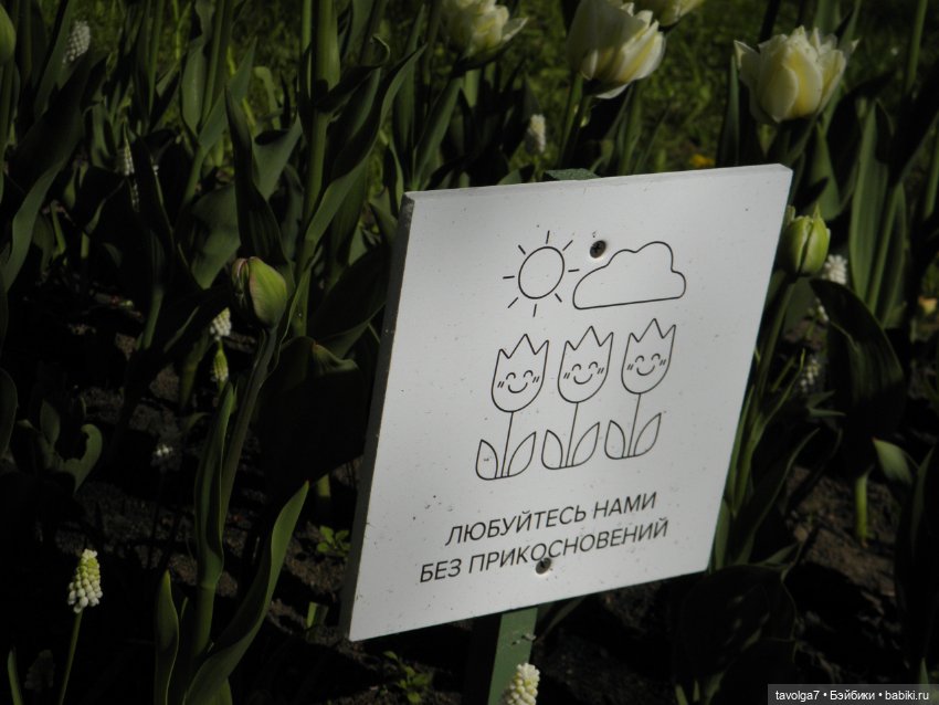 Фестиваль Тюльпанов на Елагином острове