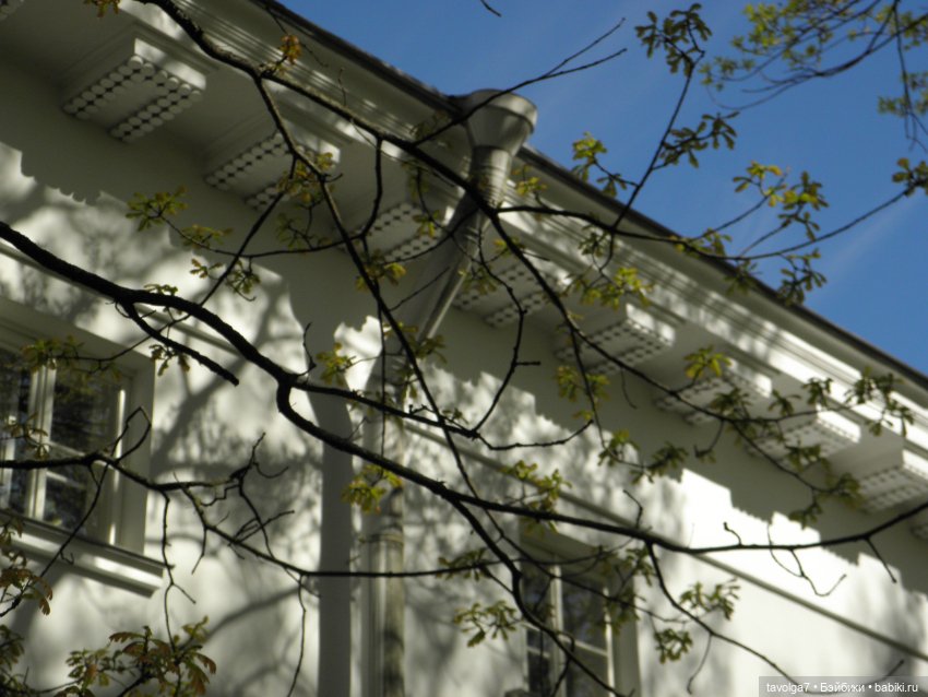 Фестиваль Тюльпанов на Елагином острове