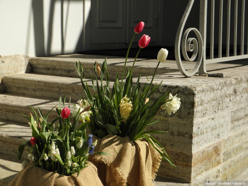 Фестиваль Тюльпанов на Елагином острове