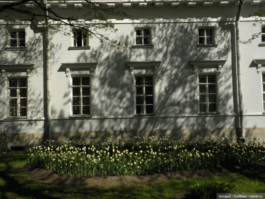 Фестиваль Тюльпанов на Елагином острове