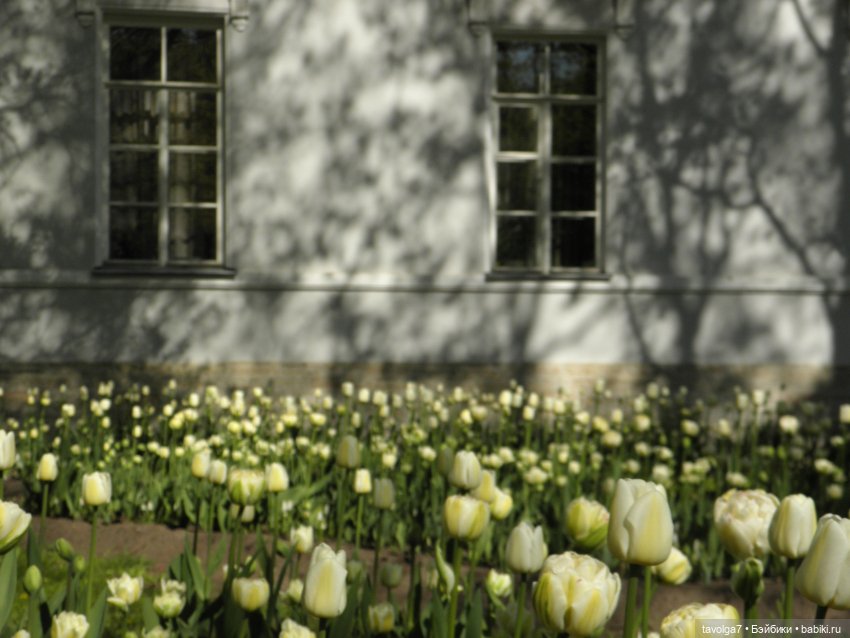 Фестиваль Тюльпанов на Елагином острове