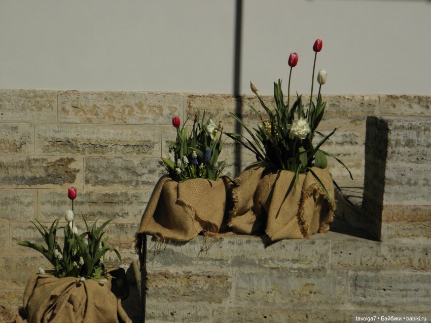 Фестиваль Тюльпанов на Елагином острове