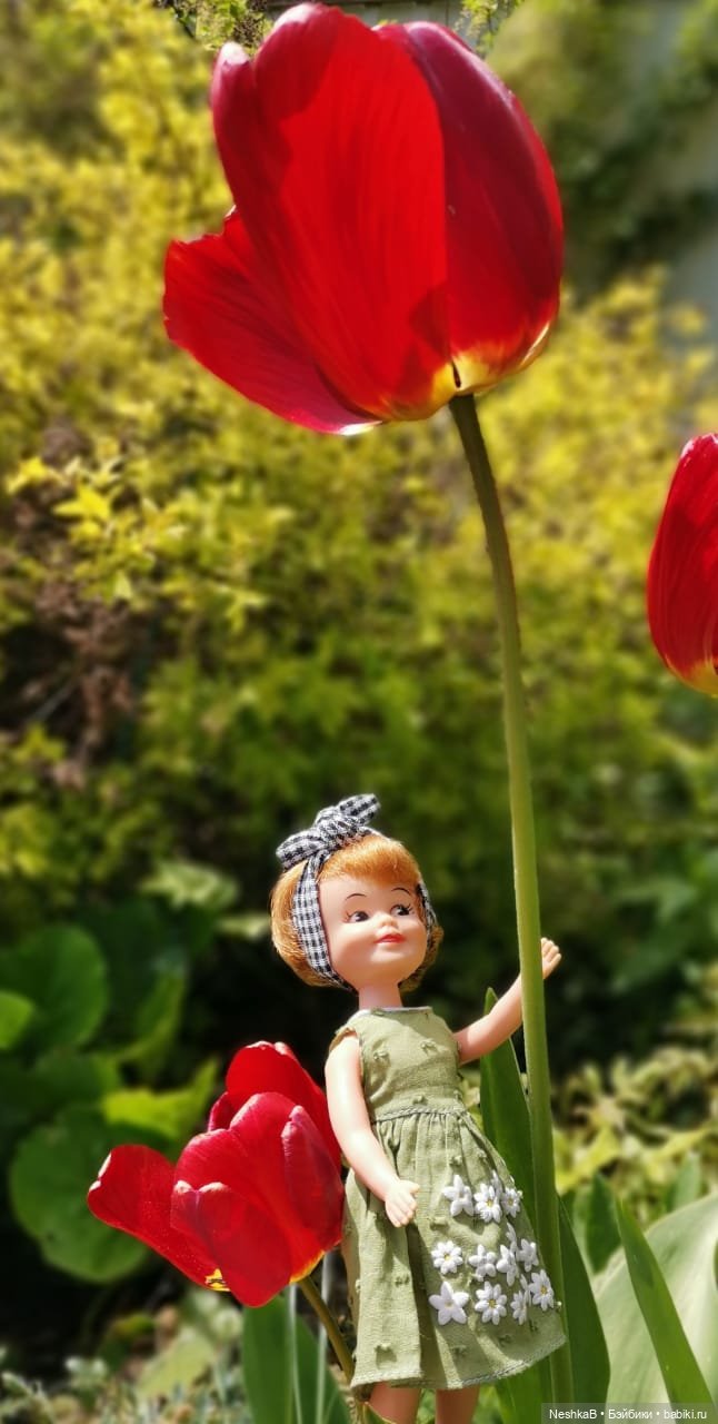 Цветущий май и много портретов Пенни 🌱🌻🌼🌹 (фото 9)