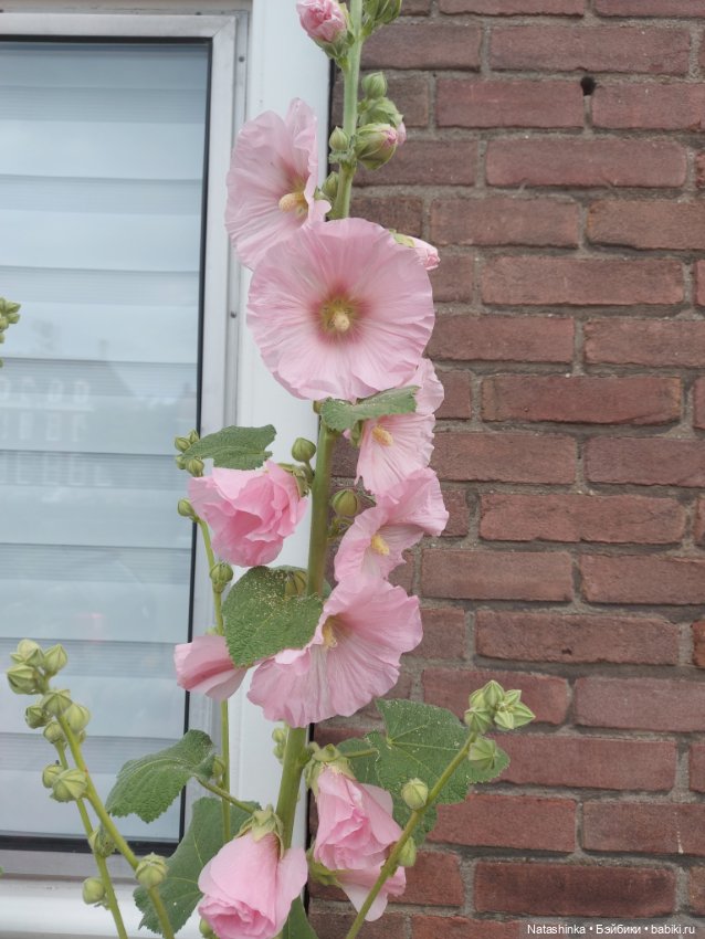 Fashion Dolls 376 — Туризм и путешествия: фотоотчеты из поездок