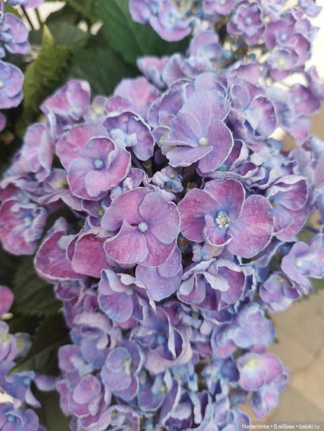 Fashion Dolls 376 — Туризм и путешествия: фотоотчеты из поездок