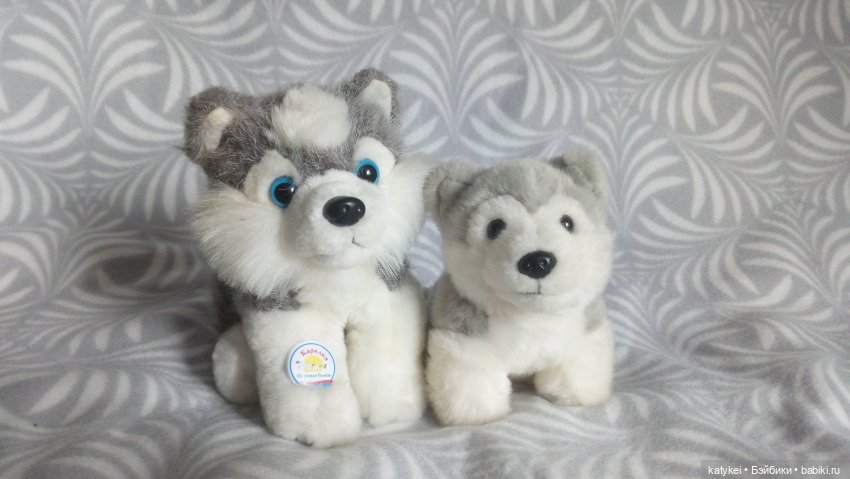 Котоблог. Какие хаски самые хасочные (фото 2)