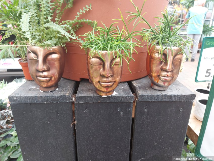 Fashion Dolls 376 — Туризм и путешествия: фотоотчеты из поездок