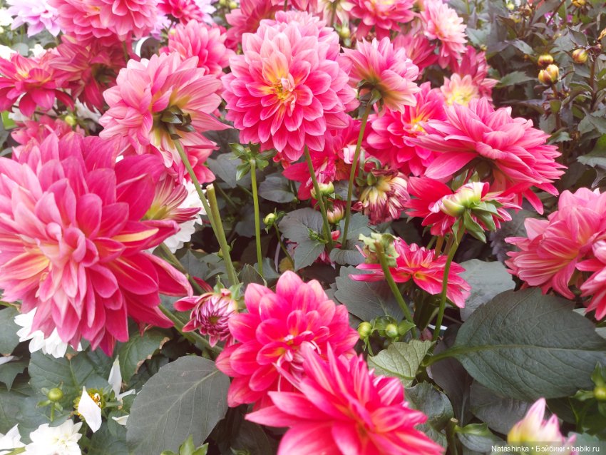 Fashion Dolls 376 — Туризм и путешествия: фотоотчеты из поездок