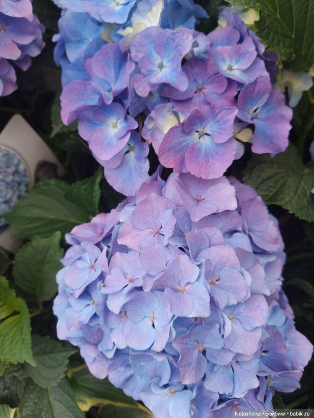 Fashion Dolls 376 — Туризм и путешествия: фотоотчеты из поездок