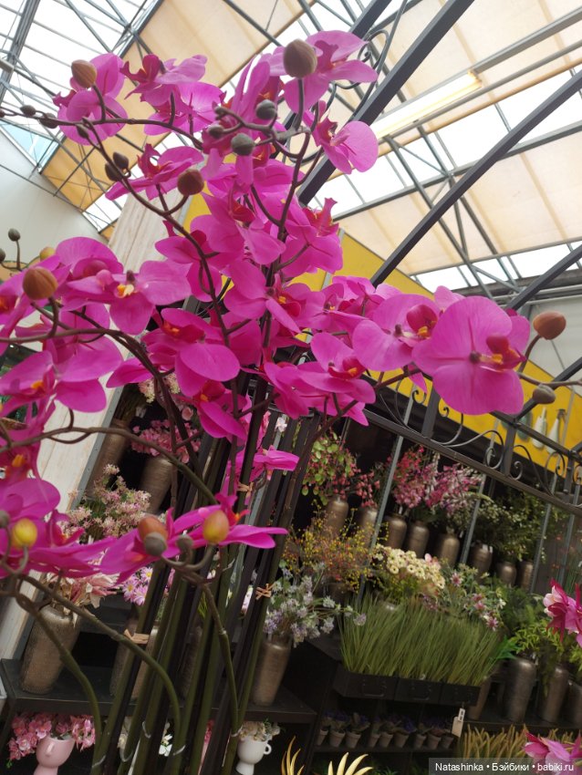 Fashion Dolls 376 — Туризм и путешествия: фотоотчеты из поездок