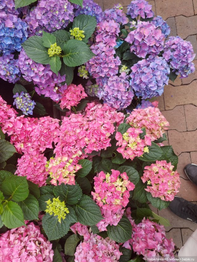 Fashion Dolls 376 — Туризм и путешествия: фотоотчеты из поездок