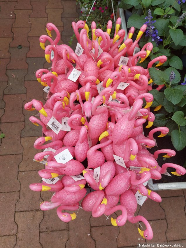 Fashion Dolls 376 — Туризм и путешествия: фотоотчеты из поездок