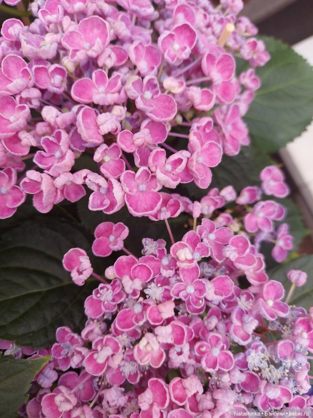 Fashion Dolls 376 — Туризм и путешествия: фотоотчеты из поездок